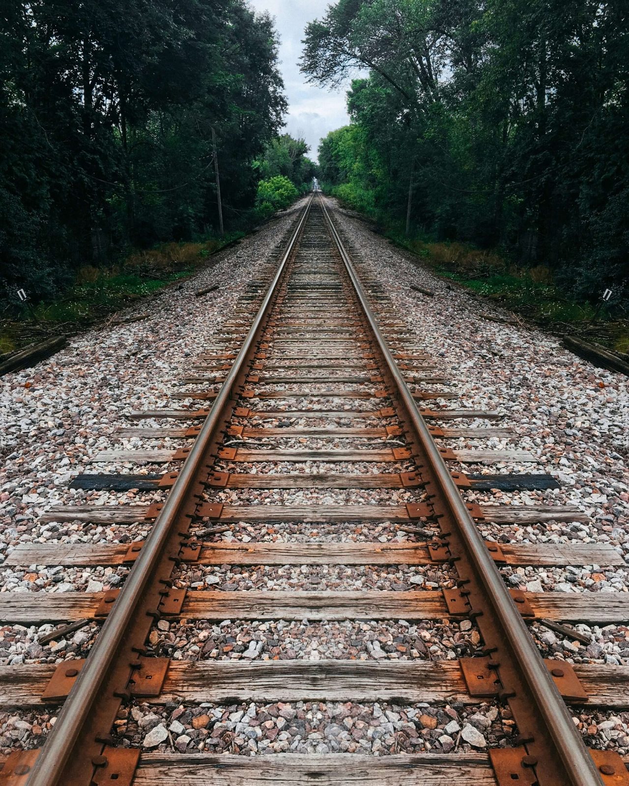 Railroad tracks running straight through a green forest