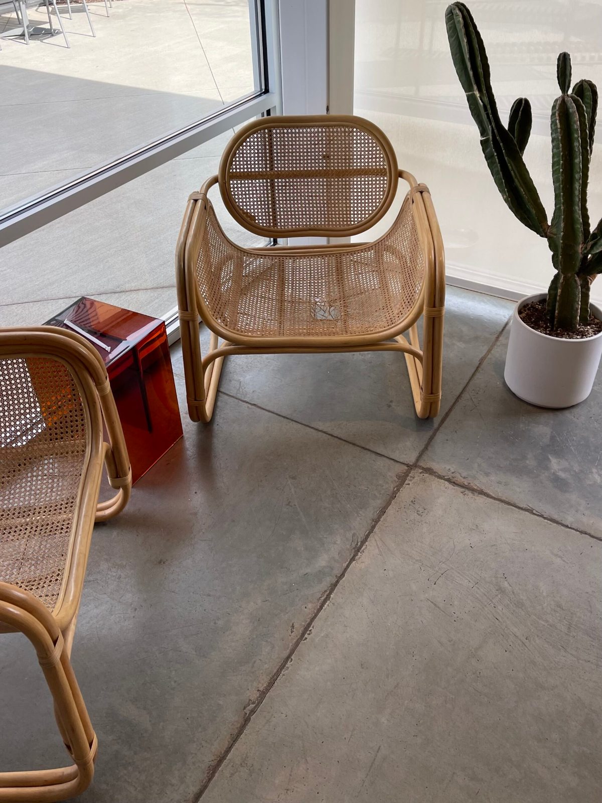 Sunny venue lounge with rattan chairs and a potted cactus